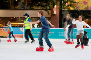 Professional hockey skates. skating rinks