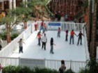 Synthetic ice rink with Super-Glide synthetic ice for public ice skating